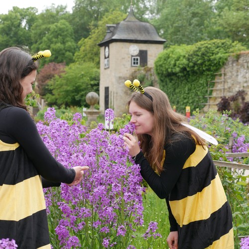 Zwei als Bienen verkleidete junge Frauen stehen in den Dalheimer Gärten. Eine der beiden schnuppert an einer Blume.