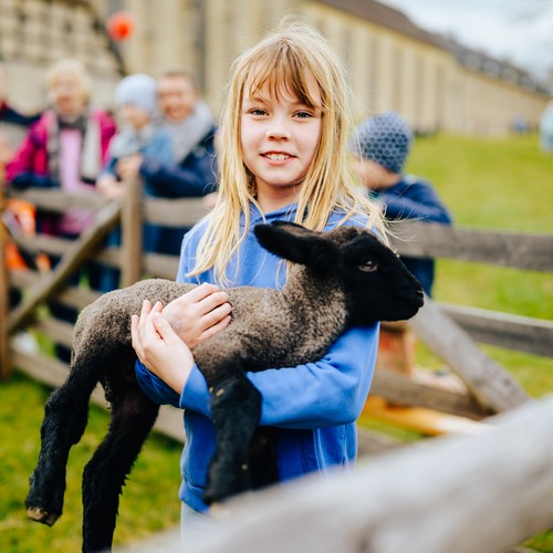 Ein Mädchen trägt ein Lamm auf den Armen.