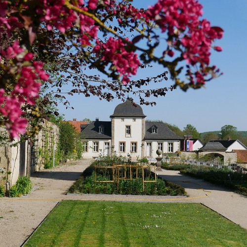 In einem sommerlichen Garten ragen magentafarbene Blüten von oben ins Bild. In einiger Entfernung steht ein weißes Häuschen mit Haubendach.