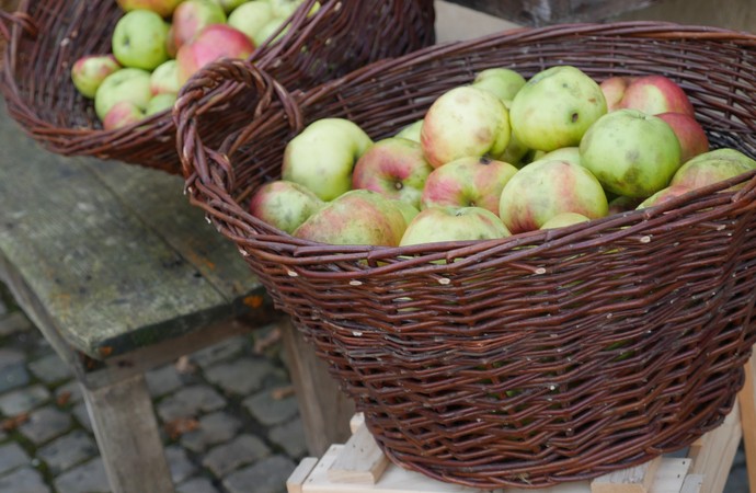 Zwei volle Weidenkörbe mit Äpfeln stehen auf einer Holzband und -kiste mit dem Dalheimer Wappen.