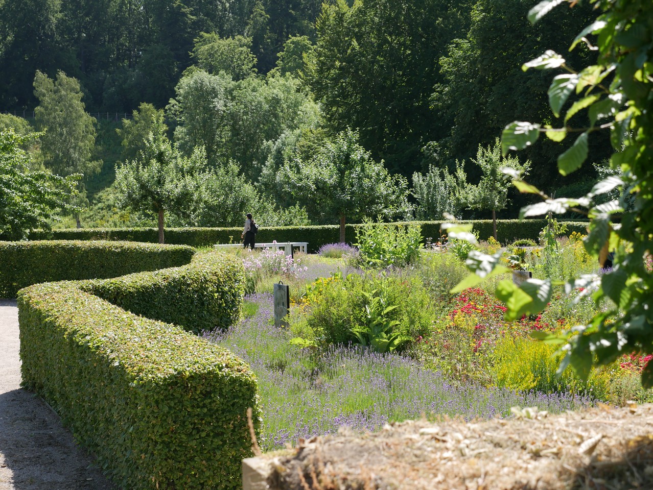 In einem Garten mit verschiedenen Blumen, Hecken und Bäumen steht eine Frau vor einer weißen Bank.