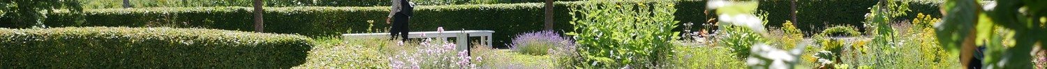 In einem Garten mit verschiedenen Blumen, Hecken und Bäumen steht eine Frau vor einer weißen Bank.
