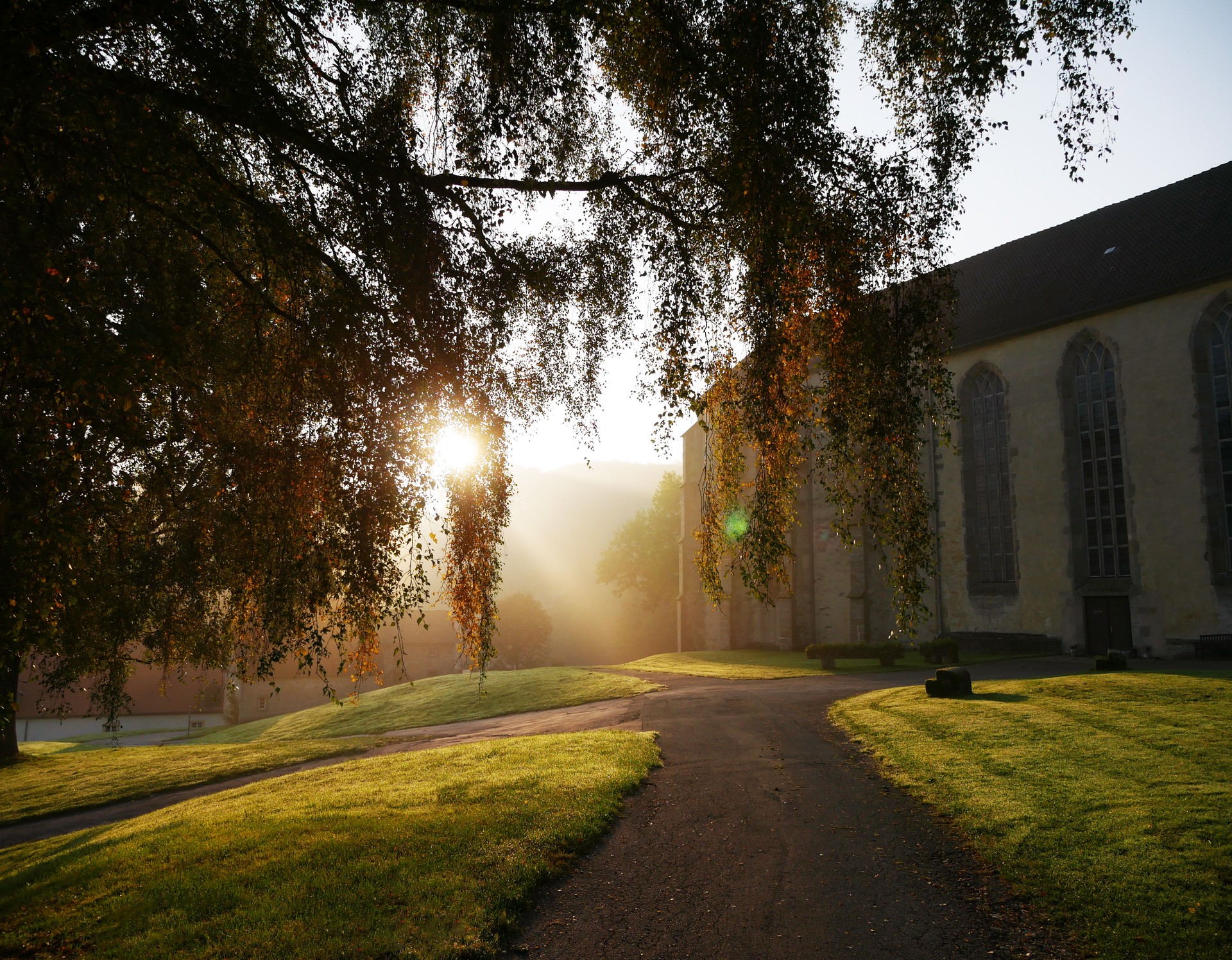 Die Morgensonne strahlt durch die Zweige einer Birke. Daneben führt ein Weg auf die Dalheimer Kirche zu.