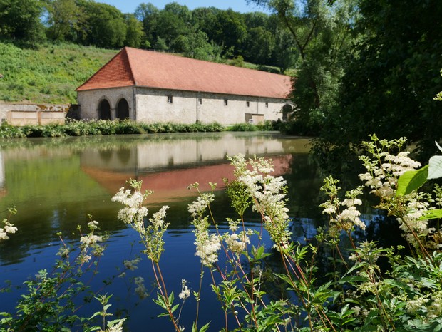 Der Dalheimer Fischteich im Sonnenschein. Im Vorgergrund blühen wilde Blumen. Im Hintergrund befindet sich eine große Scheune.
