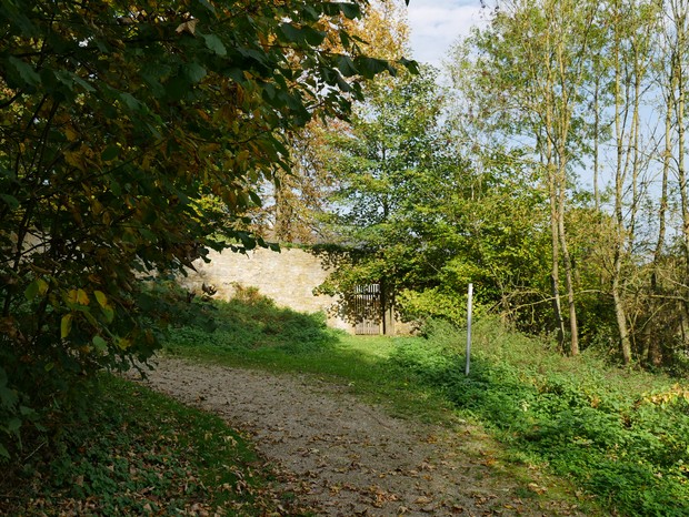 Ein Weg führt durch den Wald an der Klostermauer vorbei.