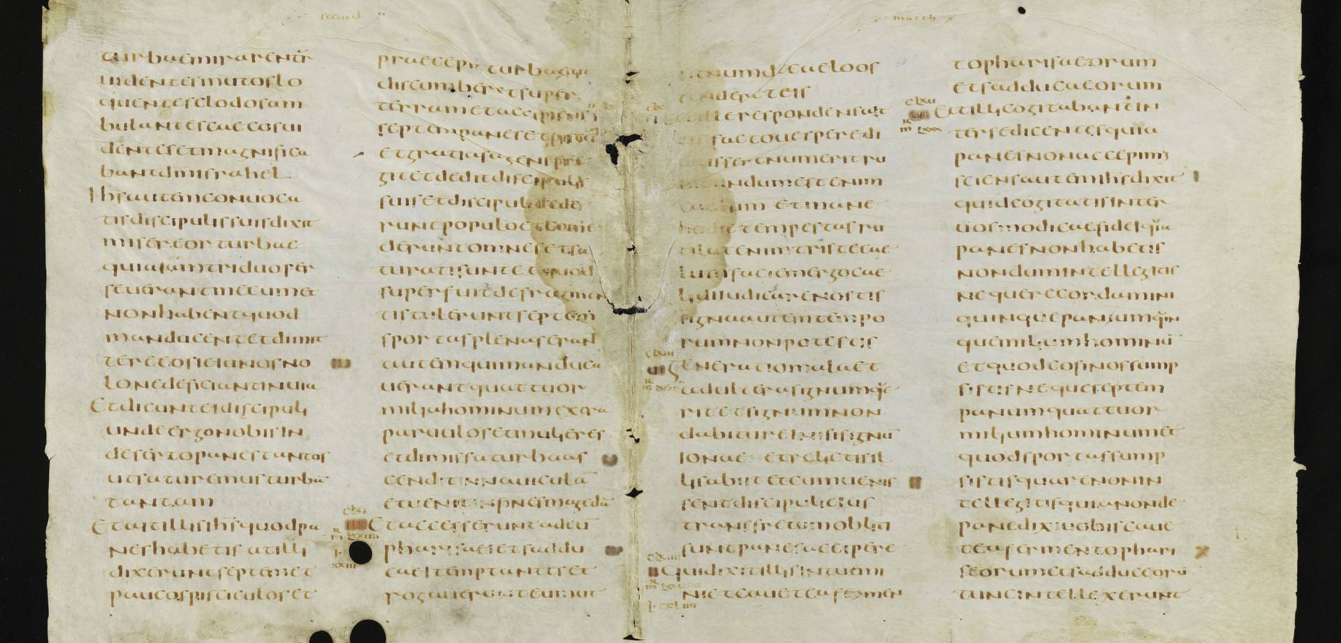Unter den zahlreichen Exponaten zeigt die Ausstellung auch Fragmente einer 1.600 Jahren alten Vulgata Version. (Foto: St. Gallen, Stiftsbibliothek, Cod. Sang. 1395, p. 51-54)