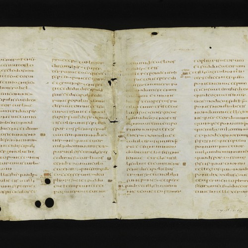 Fragmente einer 1.600 Jahren alten Vulgata Version. (Foto: St. Gallen, Stiftsbibliothek, Cod. Sang. 1395, p. 51-54)