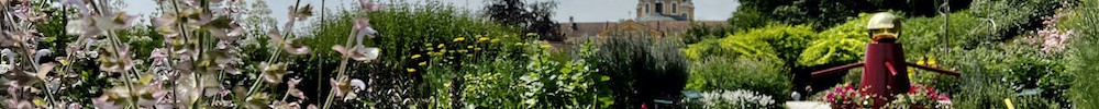 Foto von den Klostergärten im Benediktinerstift Melk, Österreich. Es blühen viele Pflanzen, auf einem Weg steht eine Schubkarre.