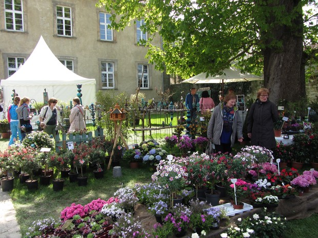 Viele Menschen schauen sich auf dem Markt Pflanzen und Blumen an.